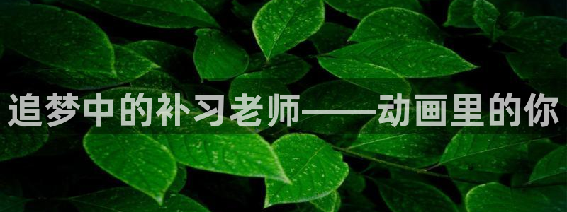 在线观看91动漫