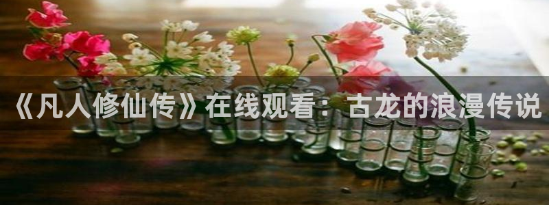 91动漫不用下载：《凡人修仙传》在线观看：古龙的浪漫传说