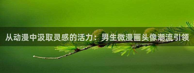 91动漫日漫：从动漫中汲取灵感的活力：男生微漫画头像潮流引领