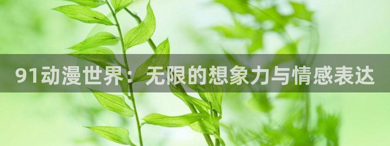 91动漫一区：91动漫世界：无限的想象力与情感表达