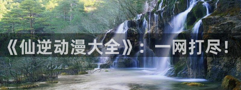 91动漫站：《仙逆动漫大全》：一网打尽！