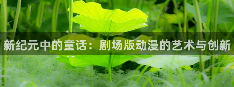 91动漫视频网站