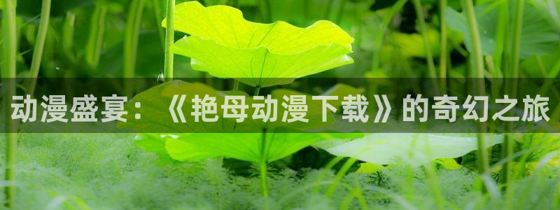 91动漫免费观看