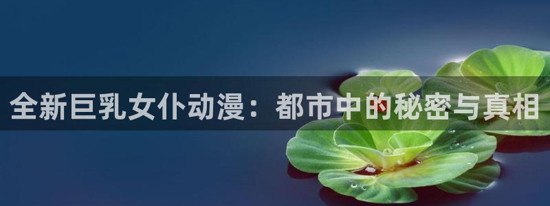 免费观看91动漫