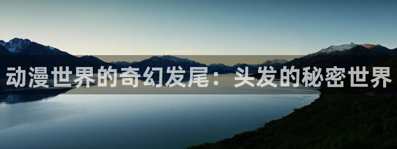 91动漫版